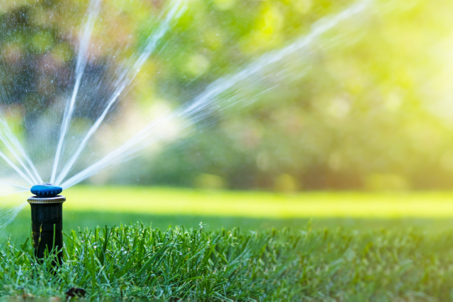 Tipos de riego y sus beneficios