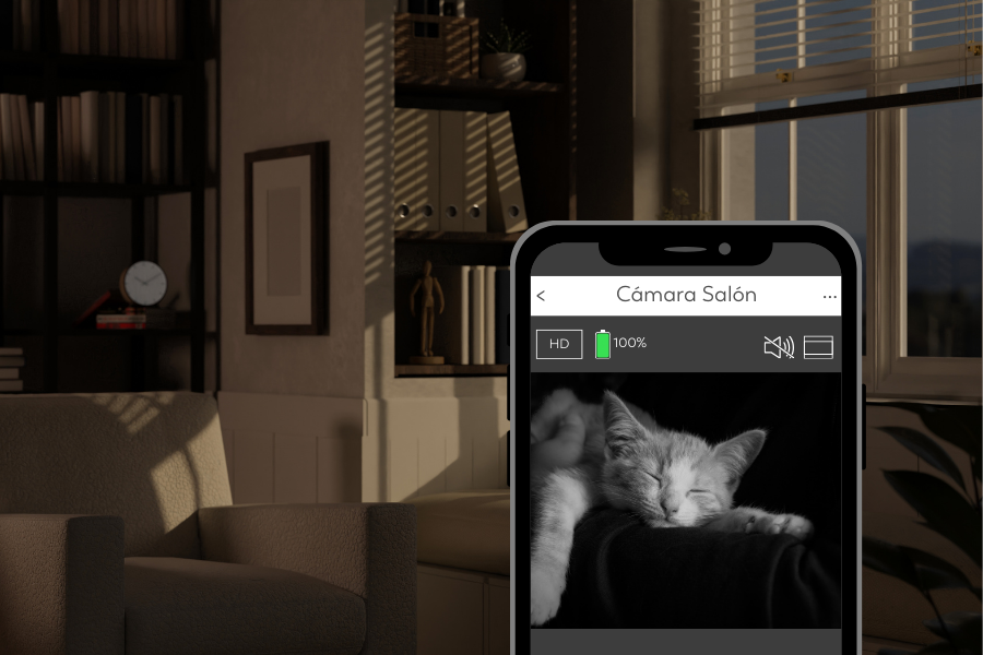 Descubre cómo la visión nocturna en cámaras de seguridad cuida de tu mascota mientras duerme