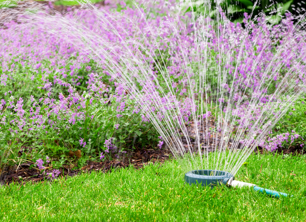 Automatizar el riego de tu jardín