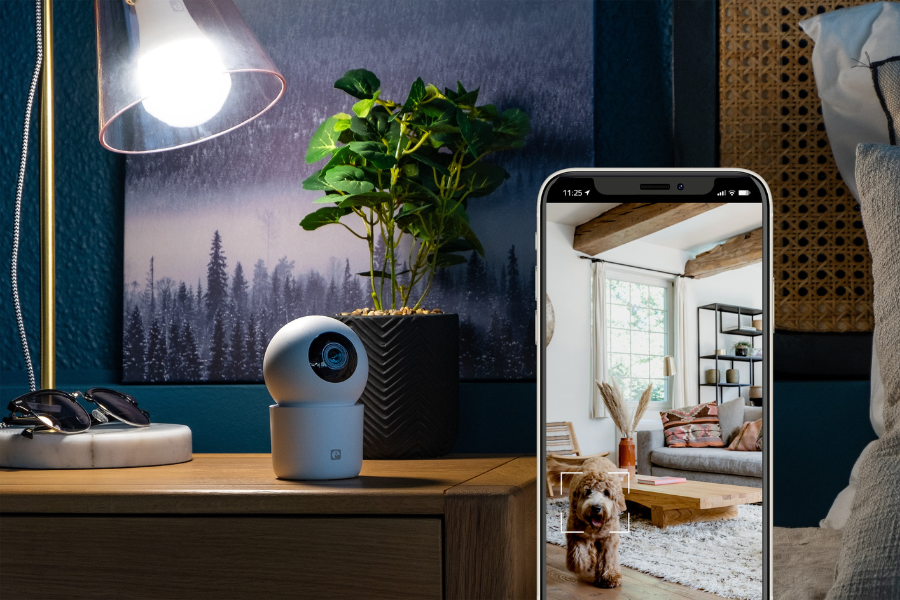 Ventajas y desventajas de las cámaras de seguridad con IA