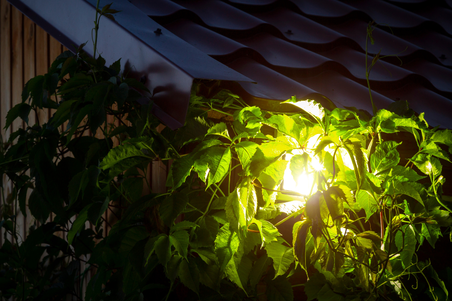 Guía completa sobre focos solares exteriores potentes