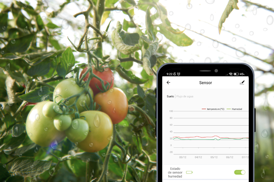 Sensores de humedad que optimizan el riego y reducen el consumo de agua