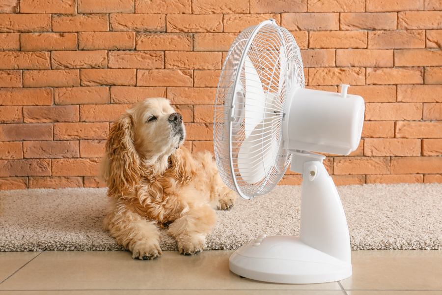 Cómo elegir el mejor sistema de climatización para tu hogar
