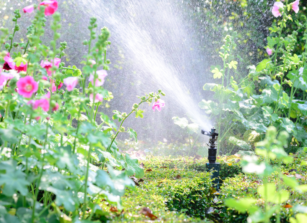 Tipos de riego para tu jardín