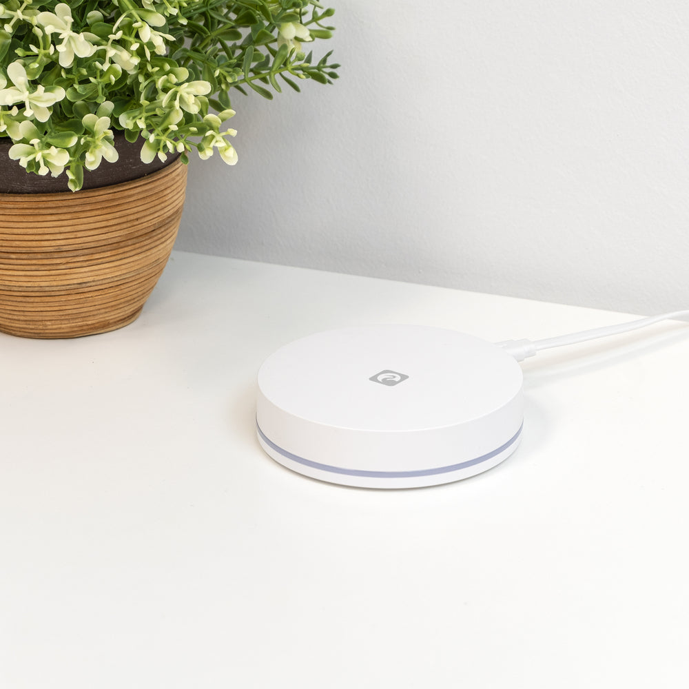 Bridge Lan Wifi Zigbee 3.0 (1)