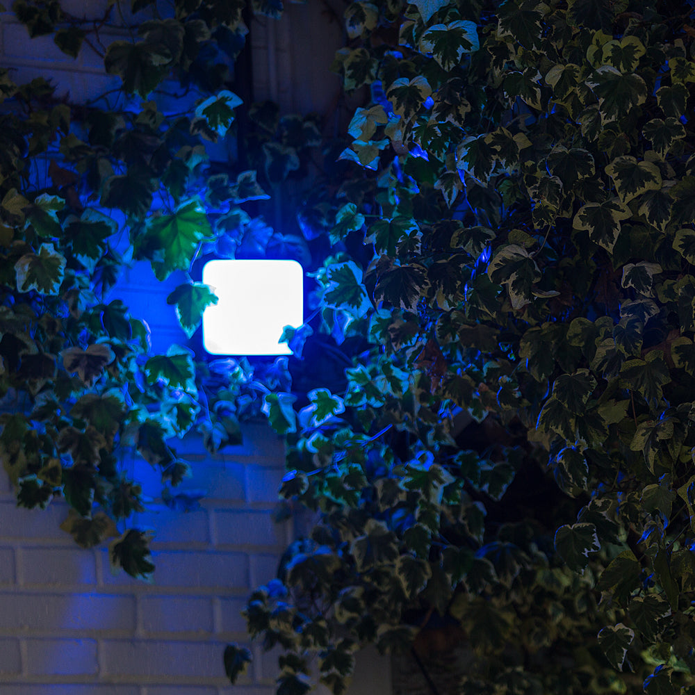 Proyector Wifi Exterior (5)