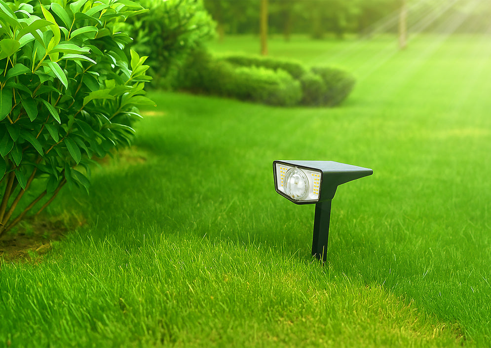 Pica solar Boréas con lentes intercambiables - Lifestyle