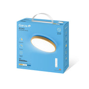 Plafón De Techo Road Con Mando Control Remoto Ip44