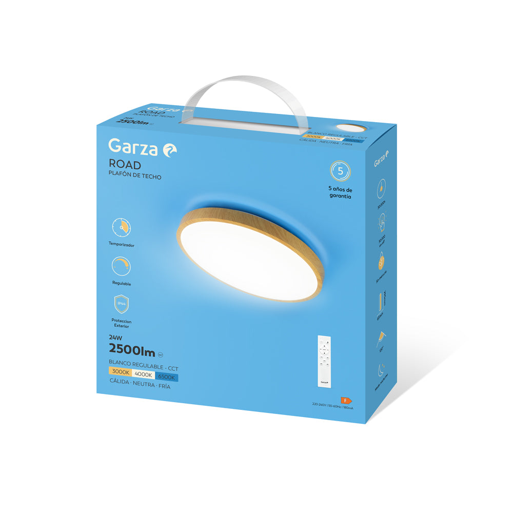 Plafón De Techo Road Con Mando Control Remoto Ip44