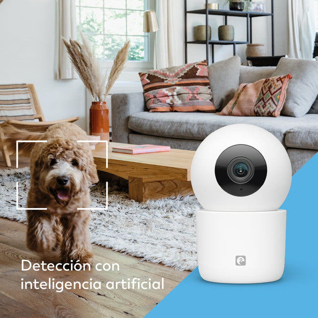 Orwell - Cámara Wifi Dual Band Interior 360º - Características