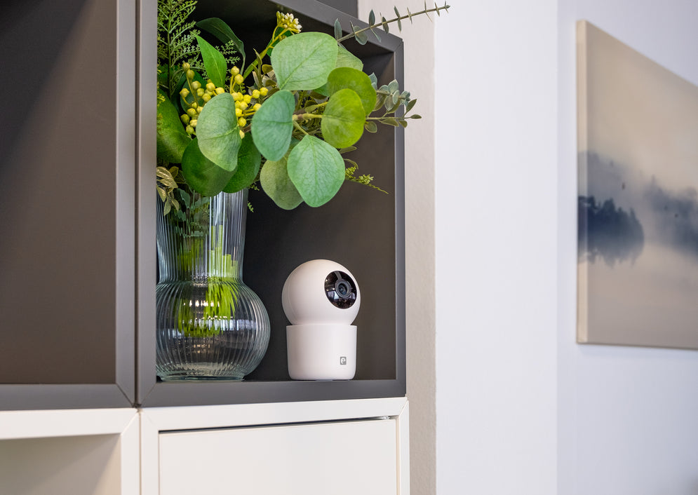 Orwell - Cámara Wifi Dual Band Interior 360º - Lifestyle